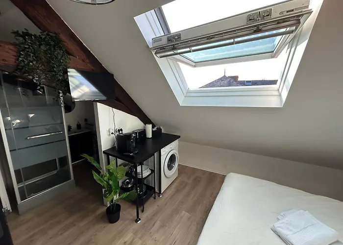 Le - Cosy Et Fonctionnel - Plein Centre